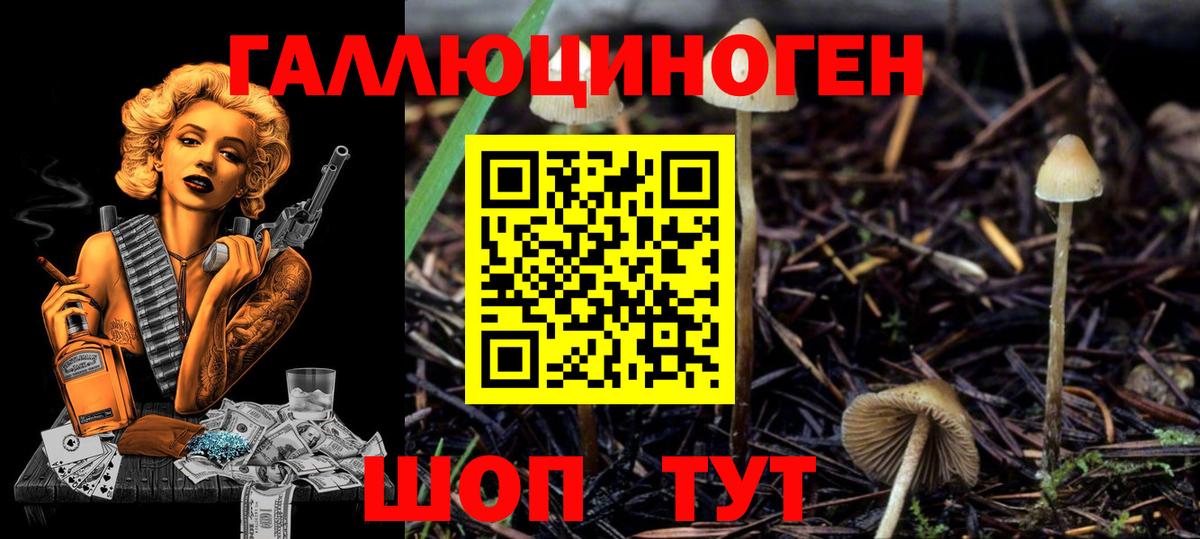 Alpha-PVP СК кристаллы  Усолье-Сибирское  Экстази  Гашиш  Мефедрон   Вход с VPN 